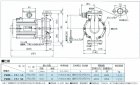 画像: 納期要注意　SANSO ＰＢＭ－１０２１Ｂ　ステンレスラインポンプ・高圧力対応 マグネットカップリング　単相100V 50/60Hz　三相電機